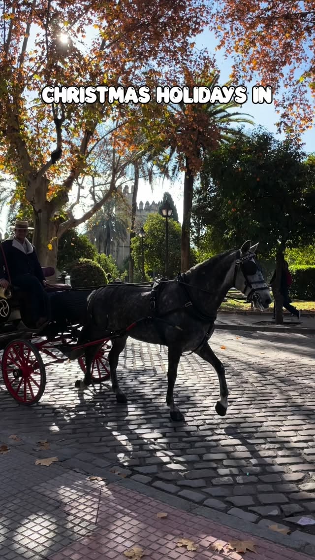 Christmas trip to the south of Spain🎄❤️ one tiny life✨